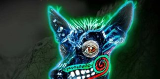 Xoloitzcuintle dog from Inframundo The Experience