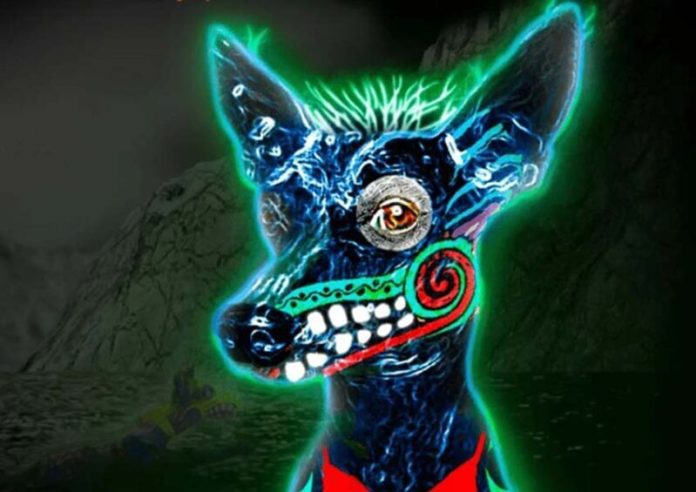 Xoloitzcuintle dog from Inframundo The Experience