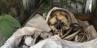 bones in tomb in Nilchí, Campeche