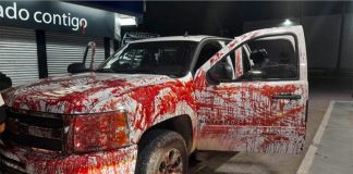 A truck splattered with 'blood' was among the vehicles seized.