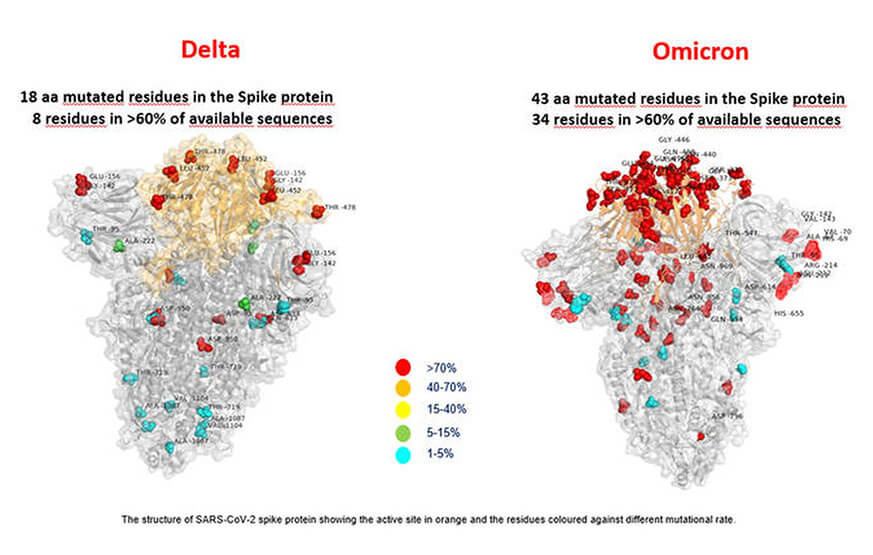 The first image of the Omicron variant, produced and published by the Bambino Gesù Hospital in Rome, shows that it has substantially more mutations than the Delta variant, compared to the original coronavirus strain. Whether Omicron is more transmissible remains to be seen.