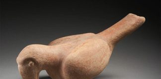 The parrot that sold for the equivalent of US $2,265.