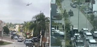 Federal forces carried out search operations in Zapopan on Wednesday.