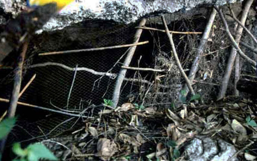 Cave entrance in Jalisco