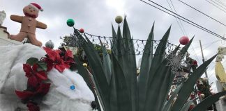 Campeche Christmas decorations