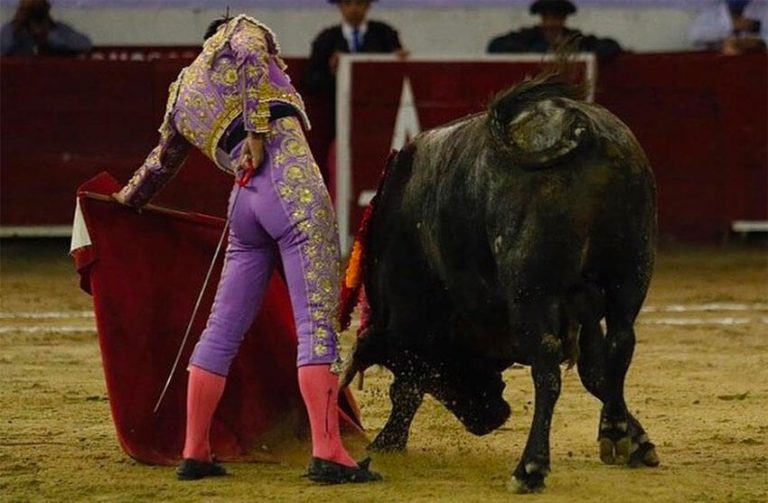 Mexico City government to vote on bill prohibiting bullfights Mexico City government to vote on bill prohibiting bullfights