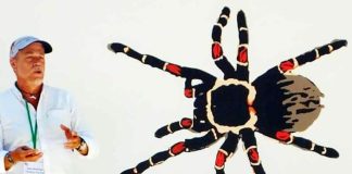 Rodrigo Orozco discussing tarantulas