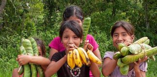 Lacandones people, Mexico