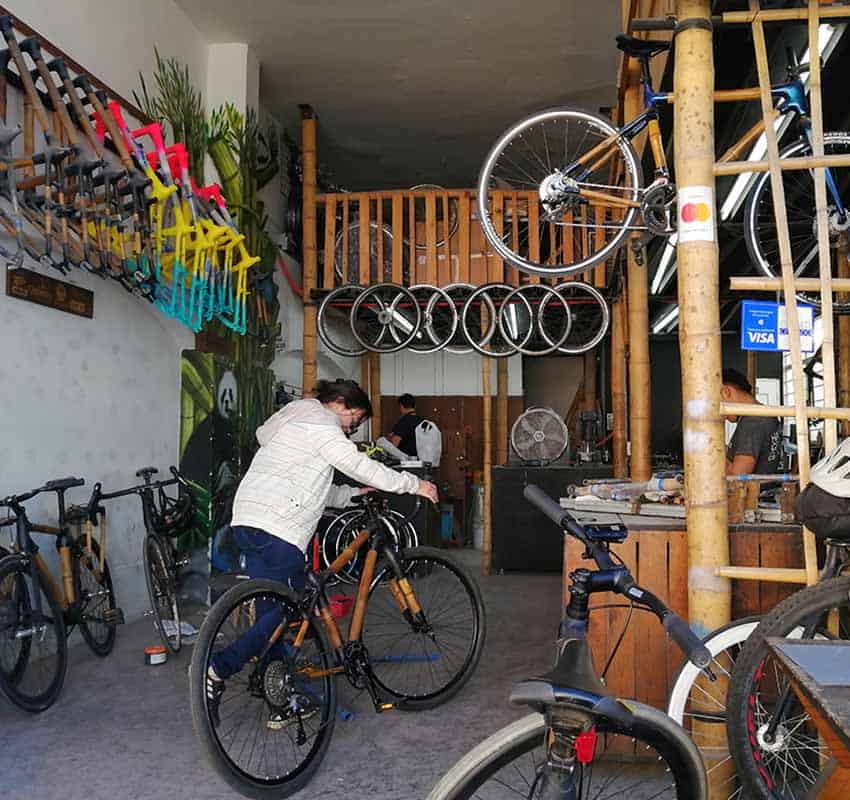 Bamboo Cycles