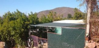 The bust occured in Carboneras, Sinaloa, 42 kilometers northeast of the state capital of Culiacán.