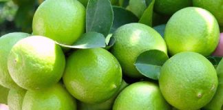 limes