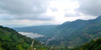 The Nexapa expoforest