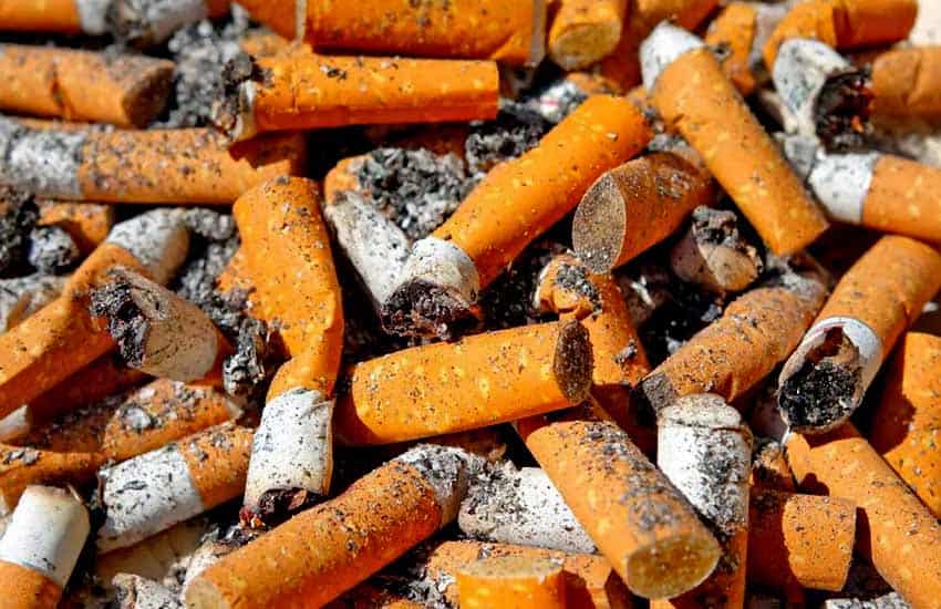 Cigarette butts on ground