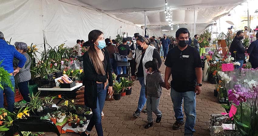 San Jose de Gracia, Michoacan orchid fair