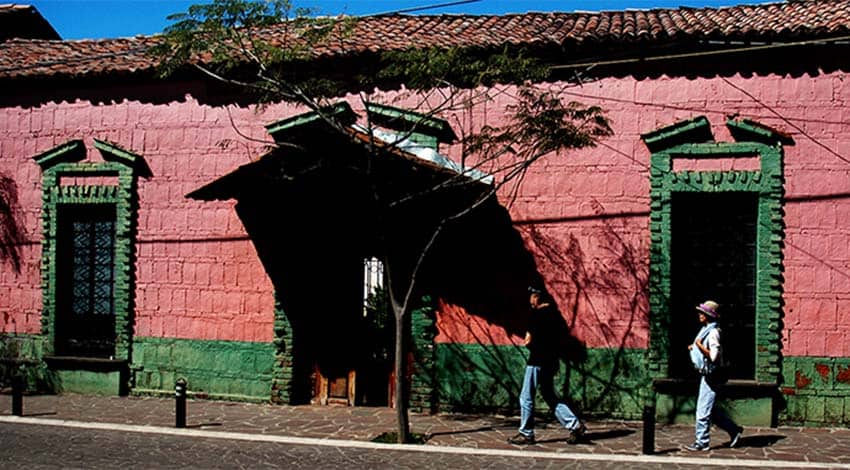 San Jose de Gracia, Michoacan orchid fair