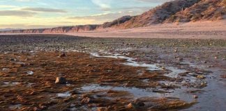 Between Punta Chueca & Bahia Kino, Gulf of California