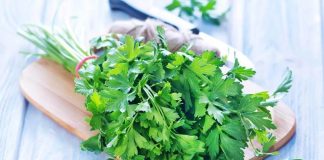 parsley