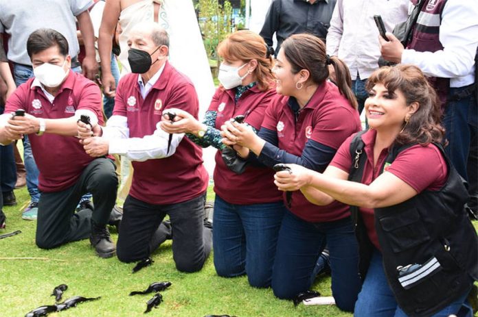 Mexico City borough mayors pose with axolotls before releasing them into the canals