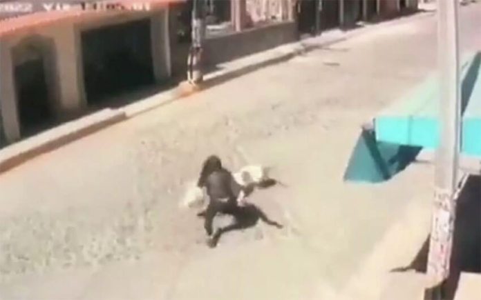 A woman runs after the dog that is attacking her child.