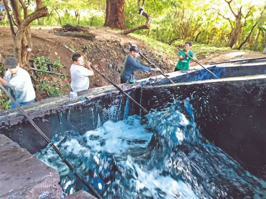 Niltepec indigo producers agitate the giant tubs of water and plant material by hand to extract the dye.