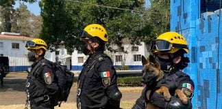 Niki shepherd recruit canine unit CDMX