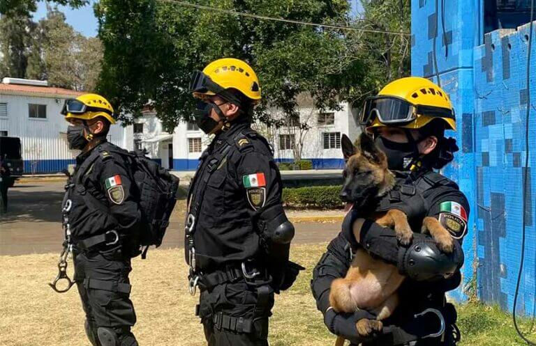 Niki shepherd recruit canine unit CDMX