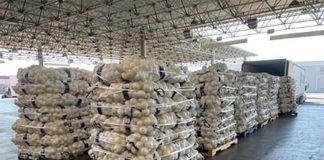 Pallets of onions were seized by U.S. Customs and Border Protection after finding packets of methamphetamine hidden in the shipment.