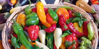 Within the country, Chihuahua is the leading producer of peppers and chilis.