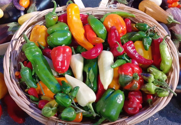 Within the country, Chihuahua is the leading producer of peppers and chilis.