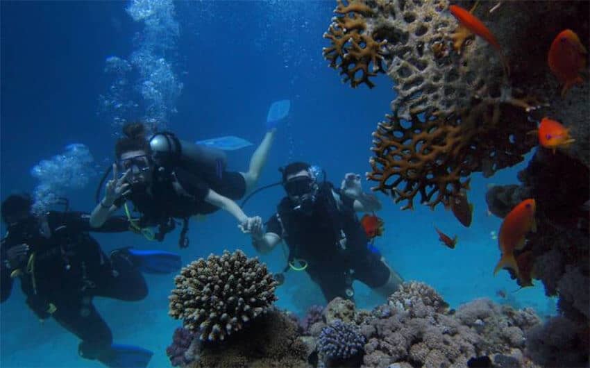 Cozumel's colorful reefs attract tourism from around the world.
