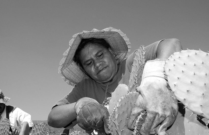 farm woman in San Agustin, Morelos