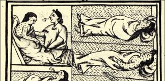 Smallpox depictions in the Florentine Codex