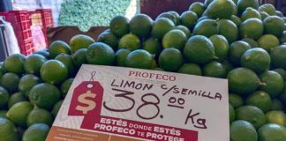 Lime prices in mexico