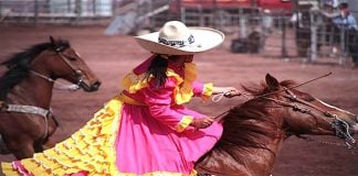 Texcoco horse festival