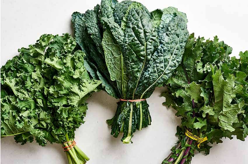 L-R: curly kale, dinosaur kale, Russian red kale