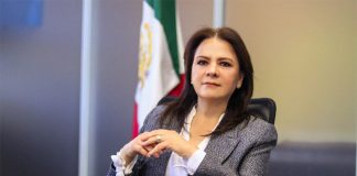 INAI commissioner Norma Julieta Del Río Venegas proposed the ruling at a virtual INAI session on Wednesday.