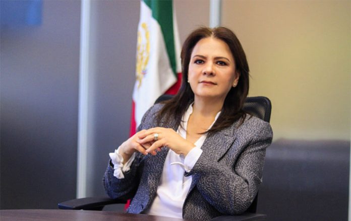 INAI commissioner Norma Julieta Del Río Venegas proposed the ruling at a virtual INAI session on Wednesday.