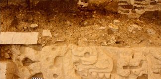 Some of the glyphs that have been interpreted