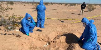 Investigators at the site of the hidden graves in Sonora.