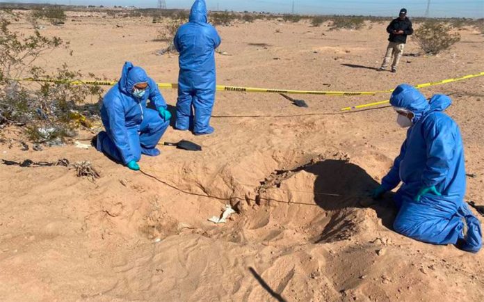 Investigators at the site of the hidden graves in Sonora.
