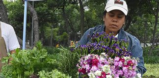A vendor sells flowers and produce at the Capital Verde Earth Market.