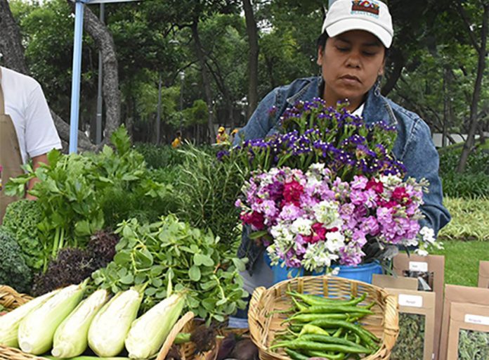 A vendor sells flowers and produce at the Capital Verde Earth Market.