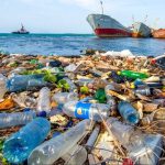 Every little bit counts, but it’s going to take more than refusing straws to save marine ecosystems.