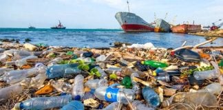 Every little bit counts, but it’s going to take more than refusing straws to save marine ecosystems.