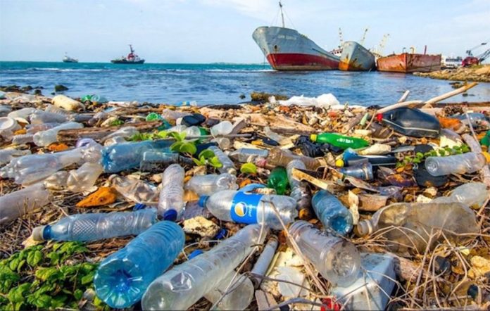 Every little bit counts, but it’s going to take more than refusing straws to save marine ecosystems.
