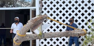 The anchor was uncovered by construction on the Progreso malecón.