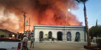 The fire burned about 6 hectares of forest, damaging dozens of properties.