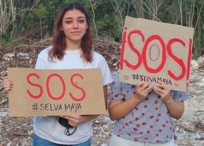 The signs declare an SOS for the Mayan jungle.