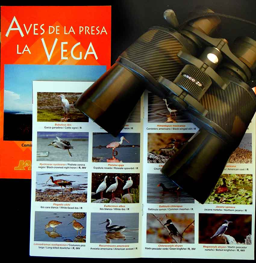 guide to birds of La Vega lake, Jalisco