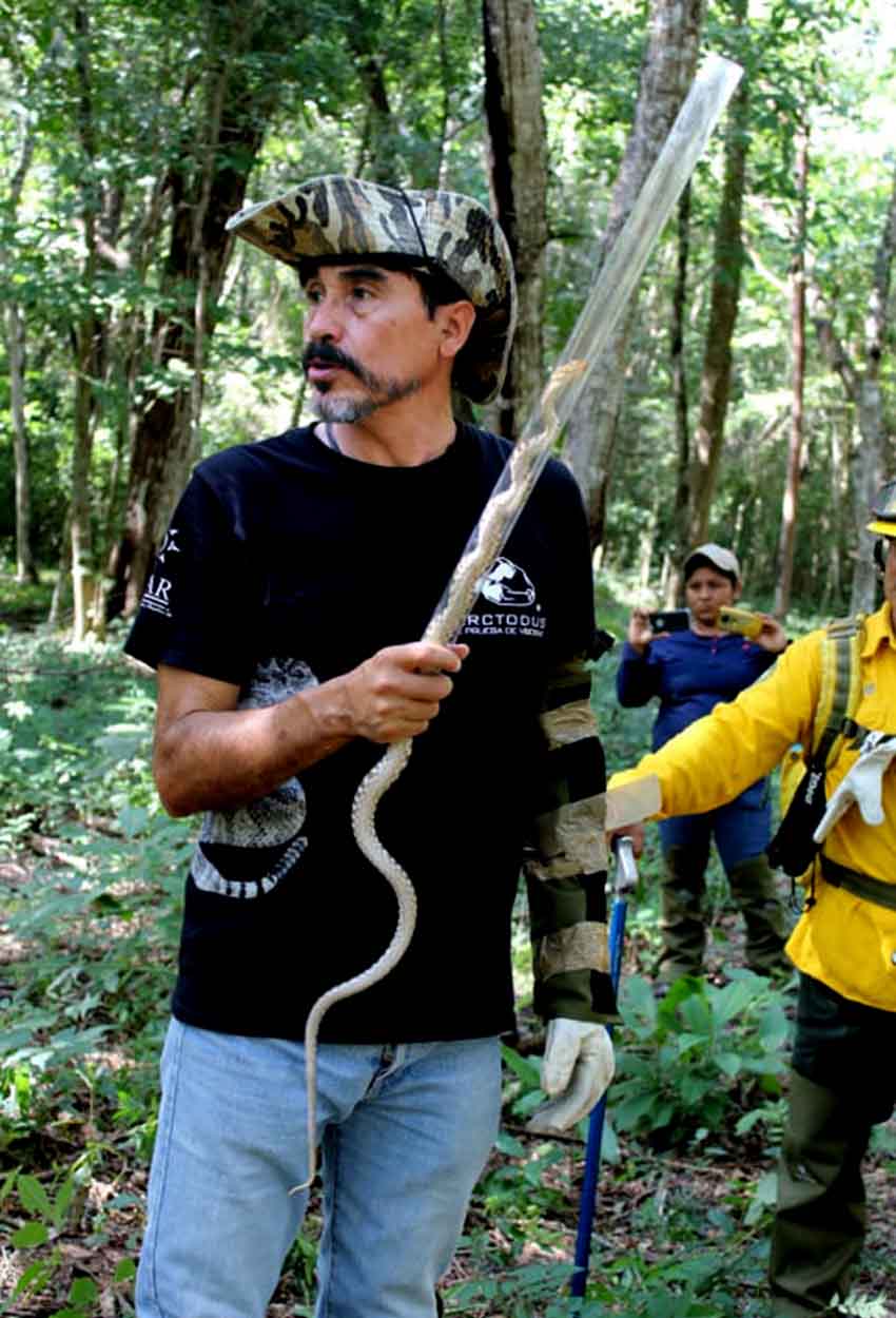 herpetologist Paulino Ponce of Jalisco Mexico